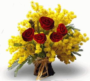 alm festa donne mimose rose