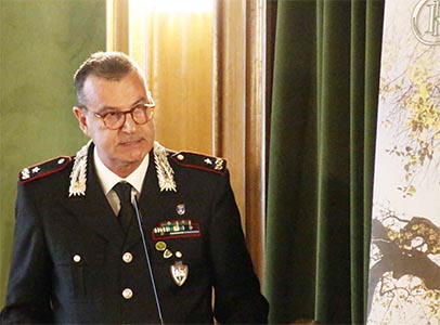 cc-silvae-4_MG_4373