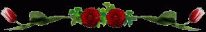 alman rose tulipani