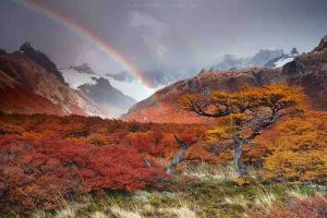 (foto: Andrea Pozzi - Parque Nacional Los Glaciares - Argentina)