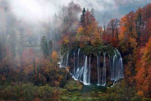 (foto: Andrea Pozzi - Plitvice Lakes - Croazia)