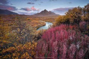 (Foto: Andrea Pozzi - Territori dello Yukon - Canada)