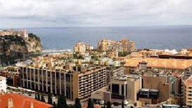Montecarlo-termovalorizzatore