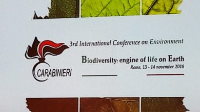 cc-convegno-biodiversità