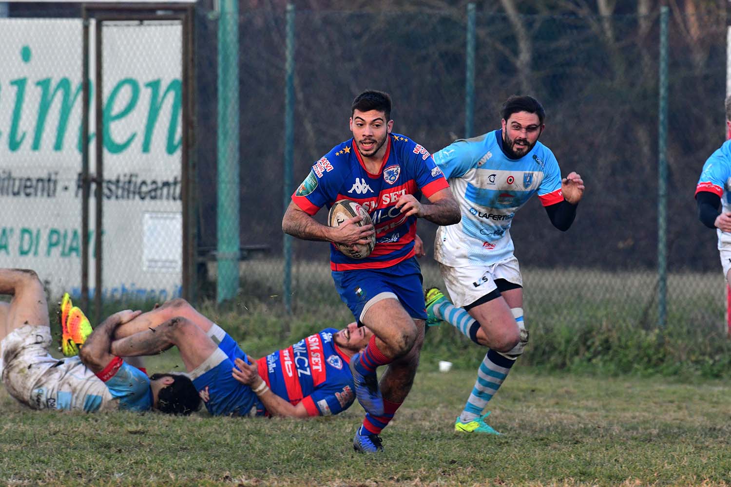 rugby-Angelini-2019
