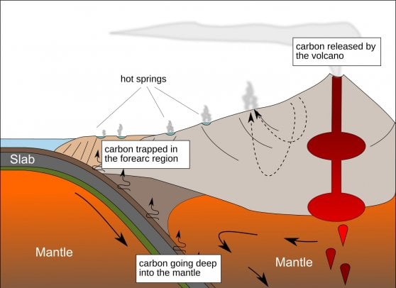 scienze - microorganismi -geologia -clima (foto web)