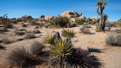 terreno-arido-asma (foto web)