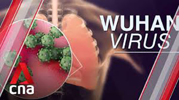 virus Wuhan (foto web)