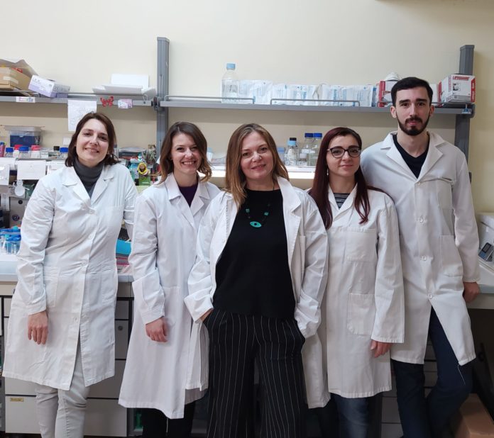 coronavirus -CNR- gruppo-ricerca-con-A. Esposito, F. Squeglia, R. Berisio, M. Romano, M.Moreira (foto web)