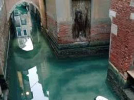 venezia acque pulite (foto web)