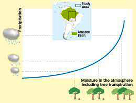 deforestazione amazzonia - pioggia