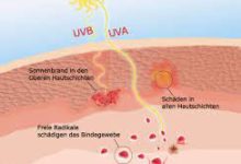 scienze - raggi UV sulla pelle (foto web)