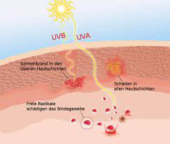 scienze - raggi UV sulla pelle (foto web)