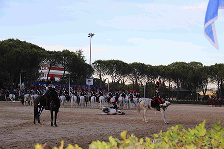 Cavallo a terra (0)