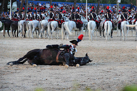 Cavallo a terra (10)