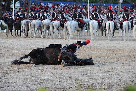 Cavallo a terra (11)