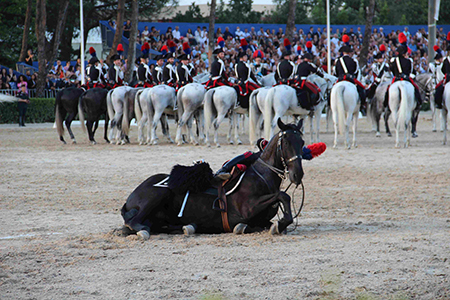 Cavallo a terra (13)Cavallo a terra (13)