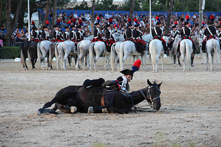 Cavallo a terra (14)