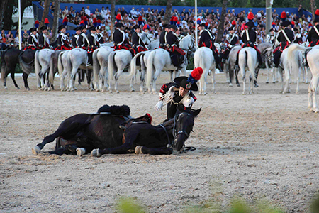 Cavallo a terra (16)