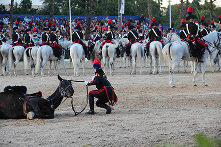 Cavallo a terra (18)