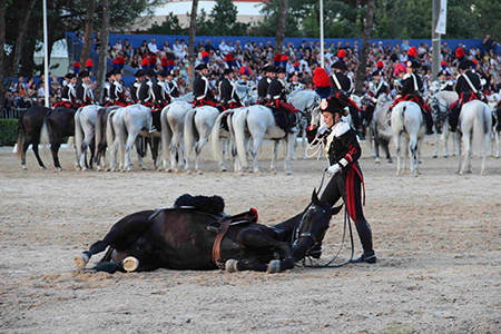 Cavallo a terra (19)