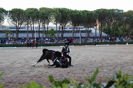 Cavallo a terra (2)