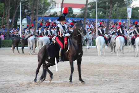 Cavallo a terra (20)