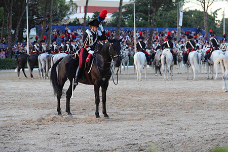 Cavallo a terra (21)