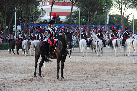 Cavallo a terra (22)