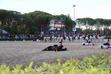 Cavallo a terra (3)