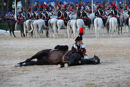 Cavallo a terra (6)