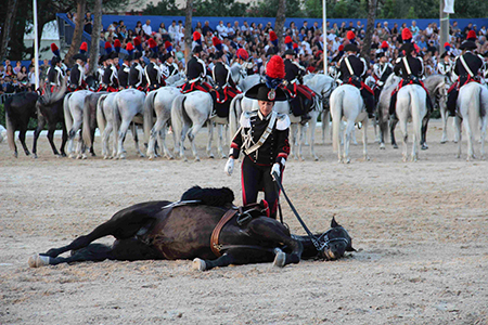 Cavallo a terra (7)