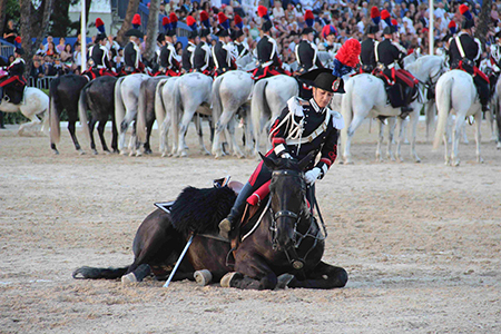 Cavallo a terra (8)