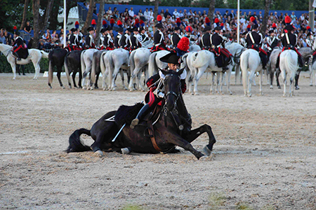 Cavallo a terra (9)