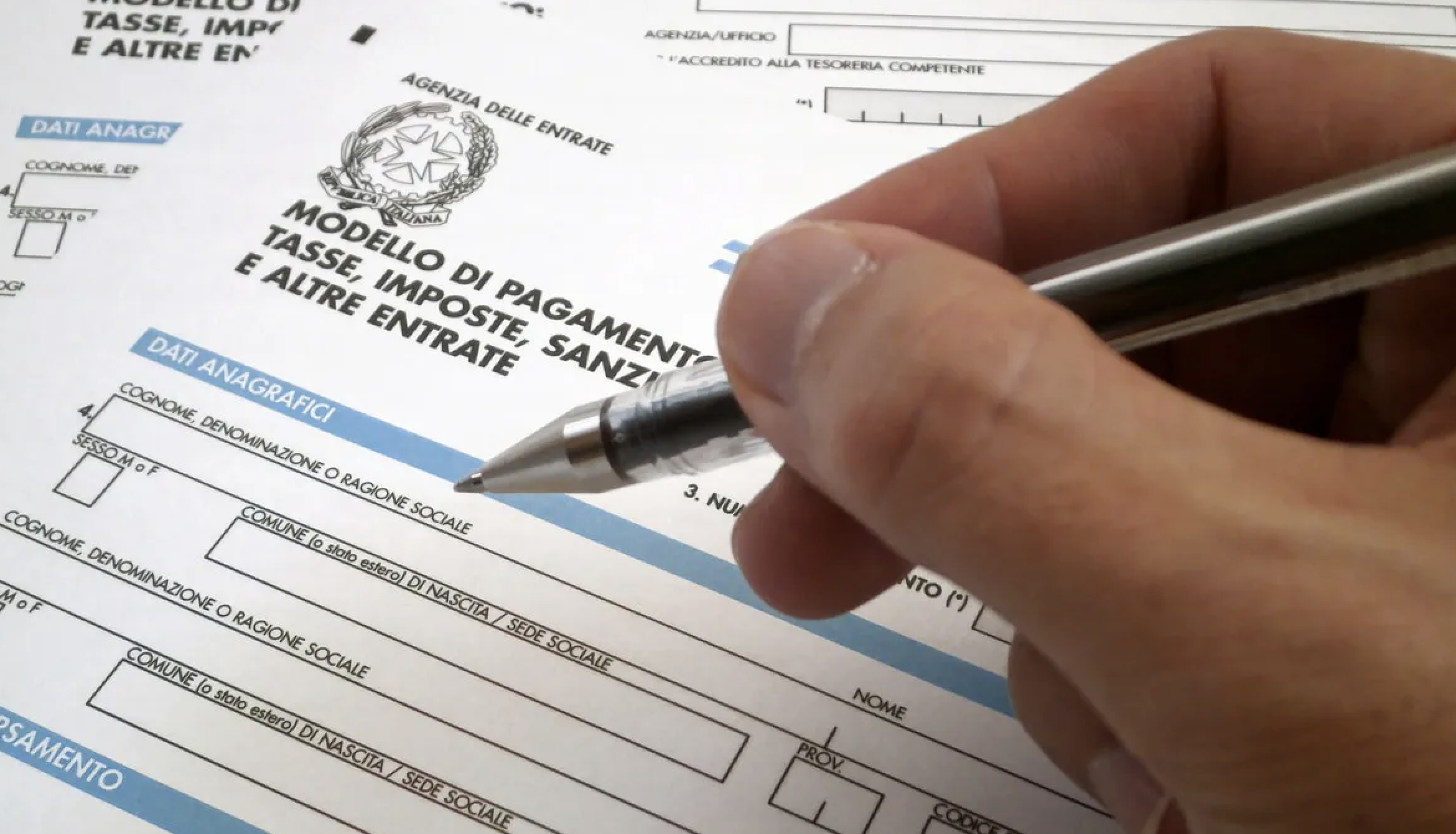 Escort con Codice Ateco Istat per partita Iva 1