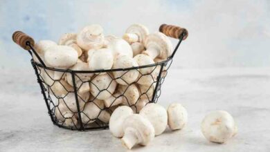 Cestino di funghi pronti da cuocere