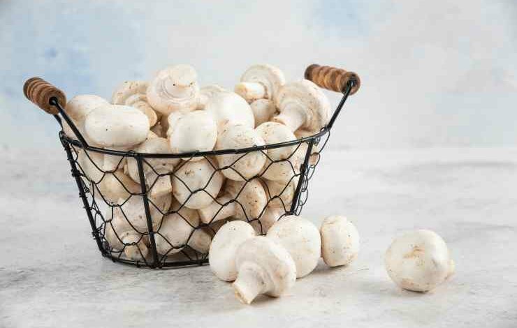 Cestino di funghi pronti da cuocere - attualita.it Cestino di funghi pronti da cuocere