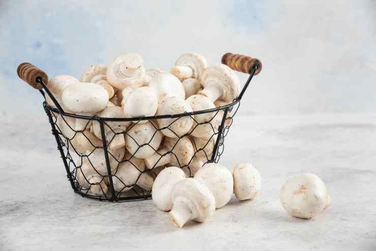 Cestino di funghi pronti da cuocere