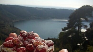 Crostatina con crema e Fragoline di Nemi Vista Lago di Nemi