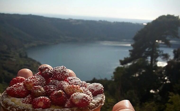 Crostatina con crema e Fragoline di Nemi Vista Lago di Nemi - attualita.it Crostatina con crema e Fragoline di Nemi Vista Lago di Nemi