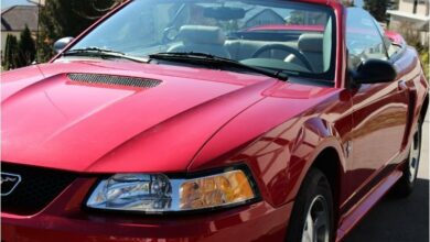 Mustang Gere