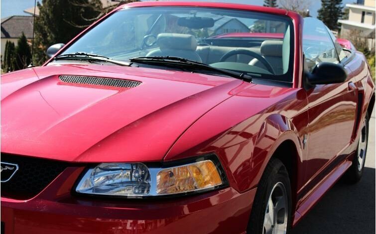 Mustang Gere - attualita.it Mustang Gere