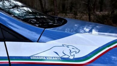 Polizia volante