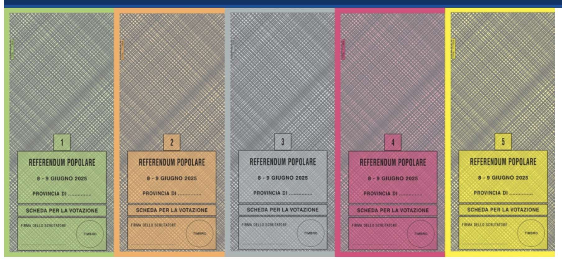 referendum