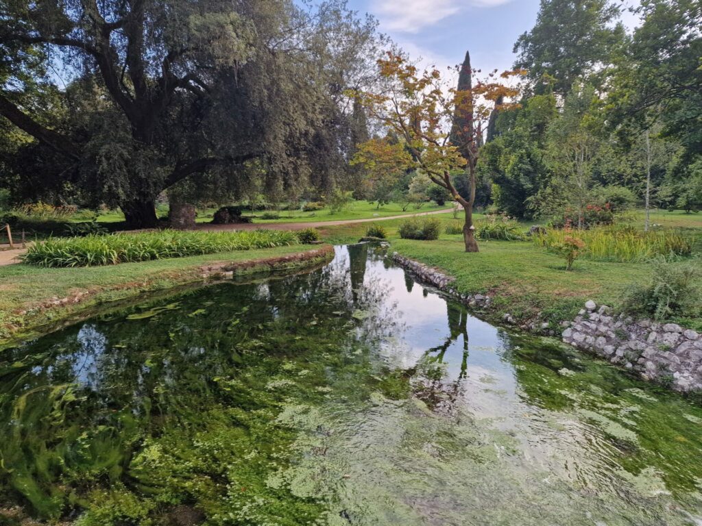 Il laghetto