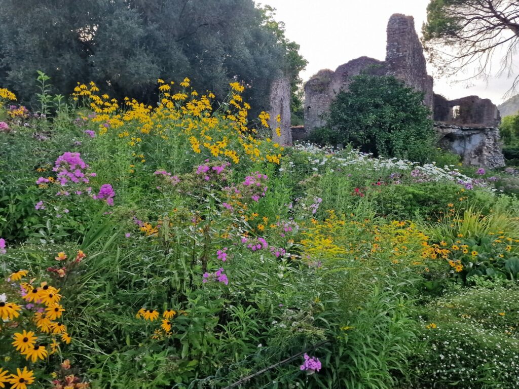 Fioriture
