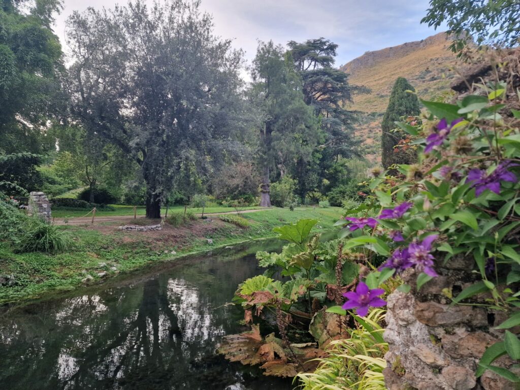 Il ruscello