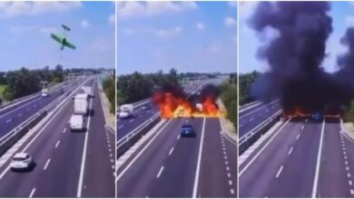 video incidente autostrada a4 tg1 rai