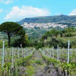 I vitigni de La Guardiense” a Guardia Saframondi (BN) 