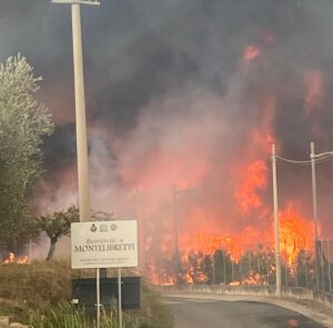 Le fiamme dell'incendio dell'azienda Terre Sabine a Montelibretti